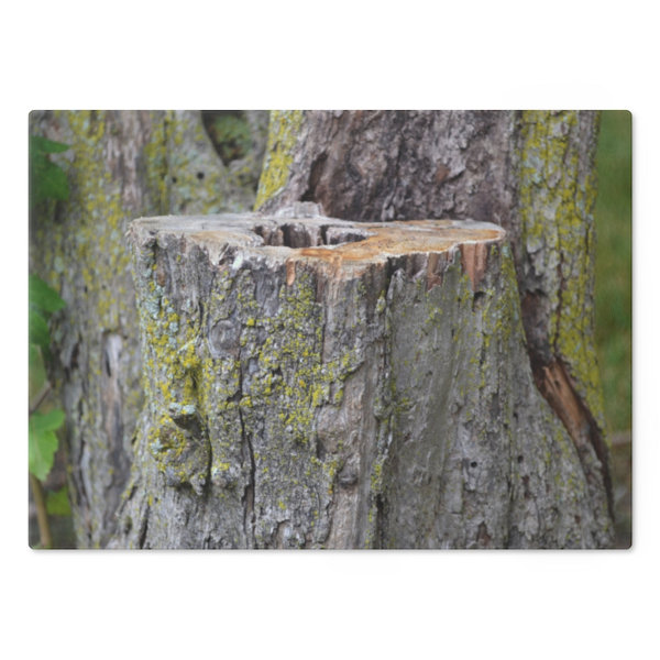 Marick Booster Tree Stump Cutting Board Wayfair